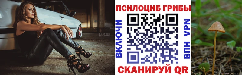 Купить  Долинск  Псилоцибиновые грибы прущие грибы 